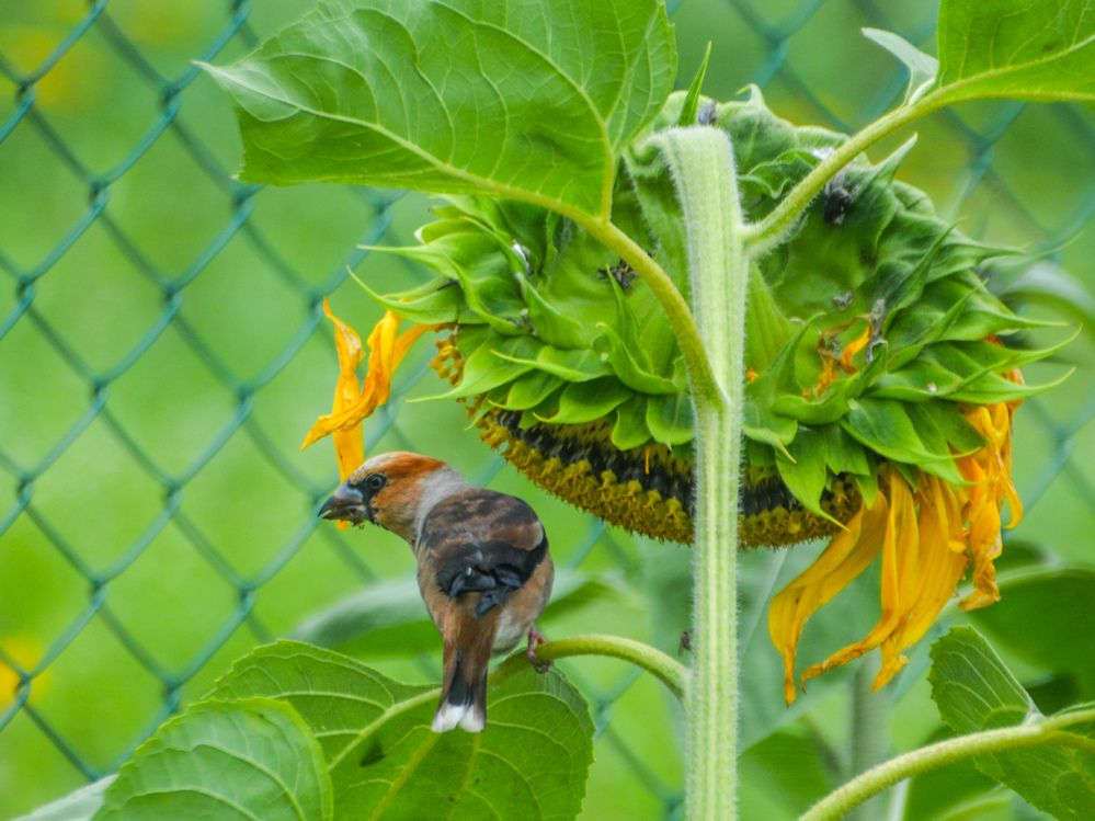 Photograph by Анастасия Гурова