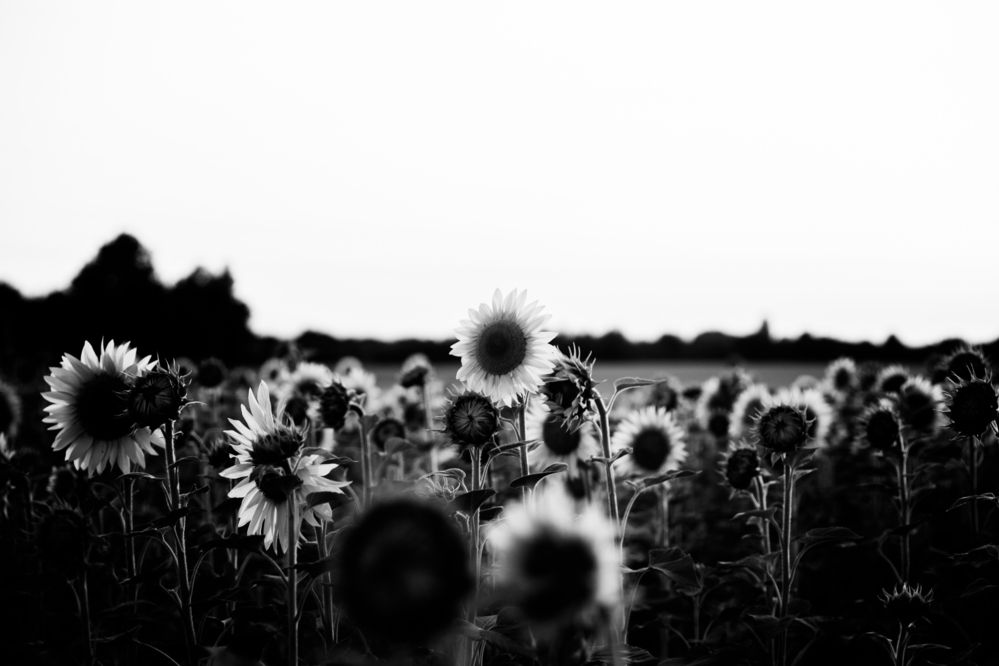 Photograph by Наталия Викторовна