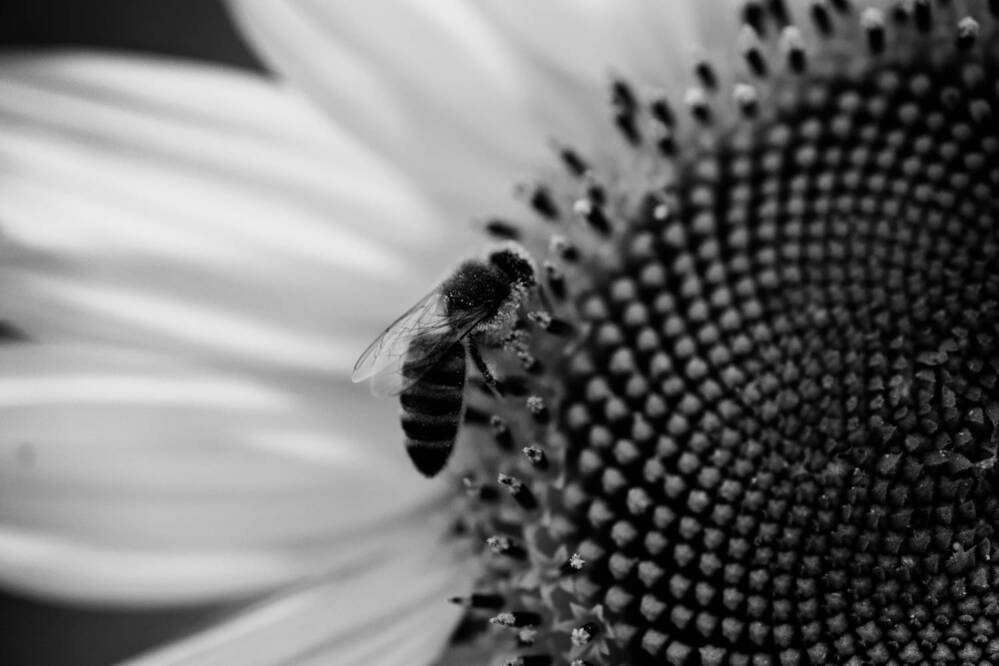 Photograph by Наталия Викторовна