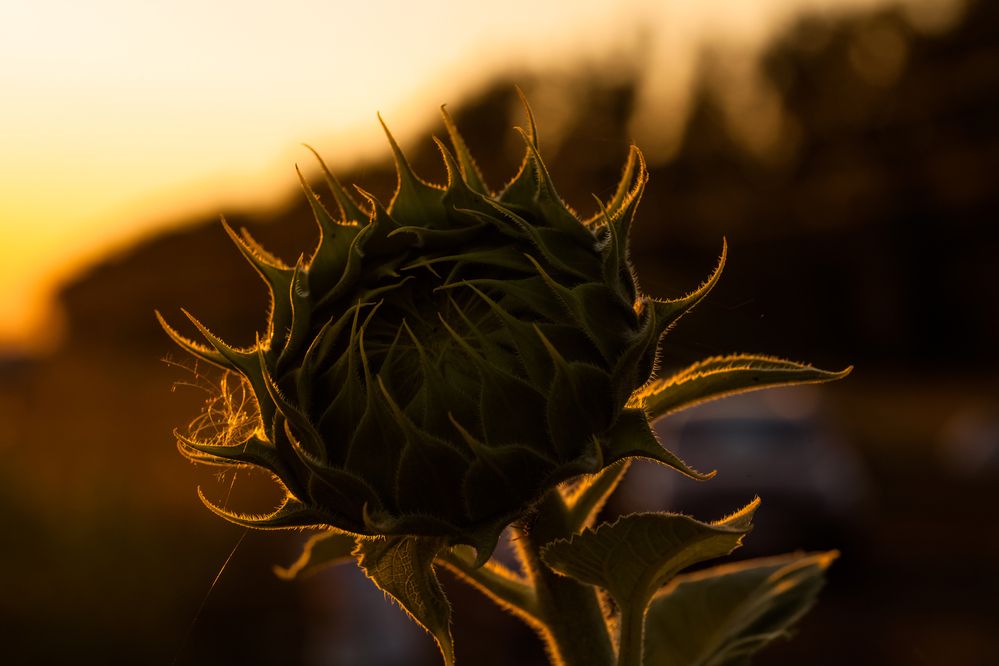 Photograph by Наталия Викторовна