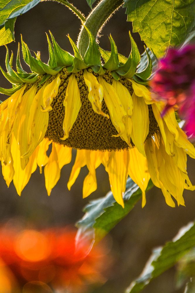 Photograph by Анастасия Гурова