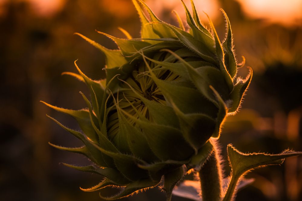 Photograph by Наталия Викторовна