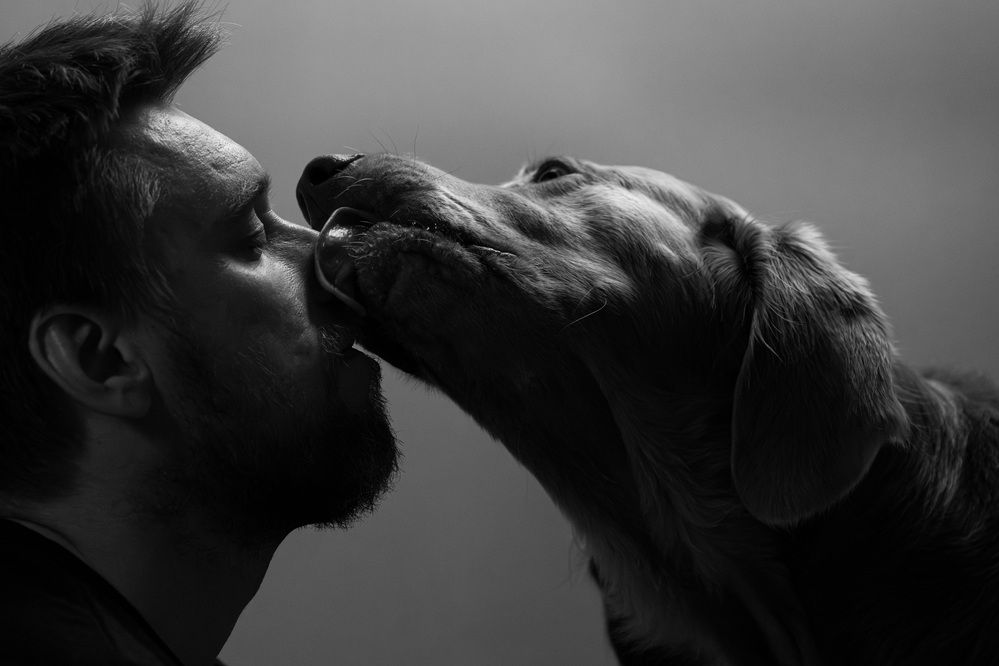 Photograph by Александра Сивер