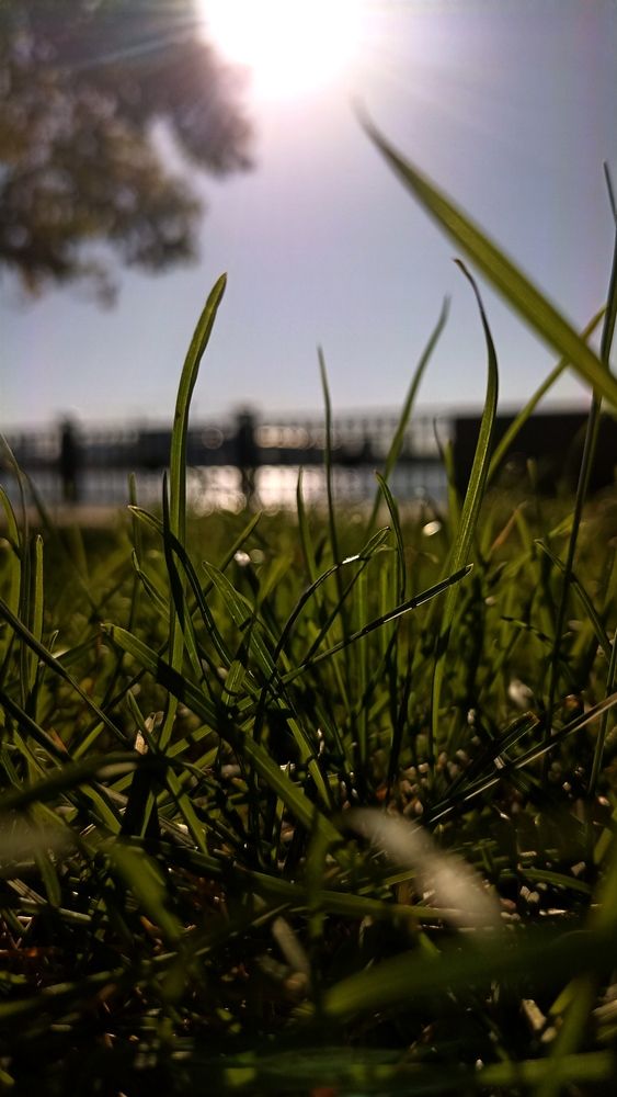 Photo #12629473