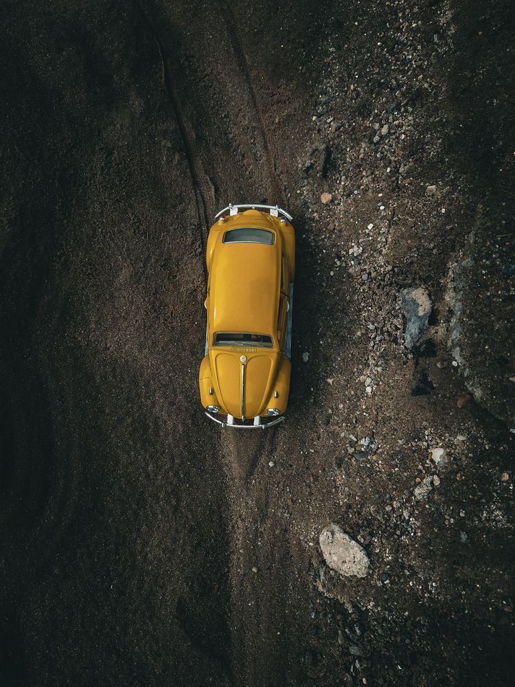 Фотография автора Екатерина Никитина