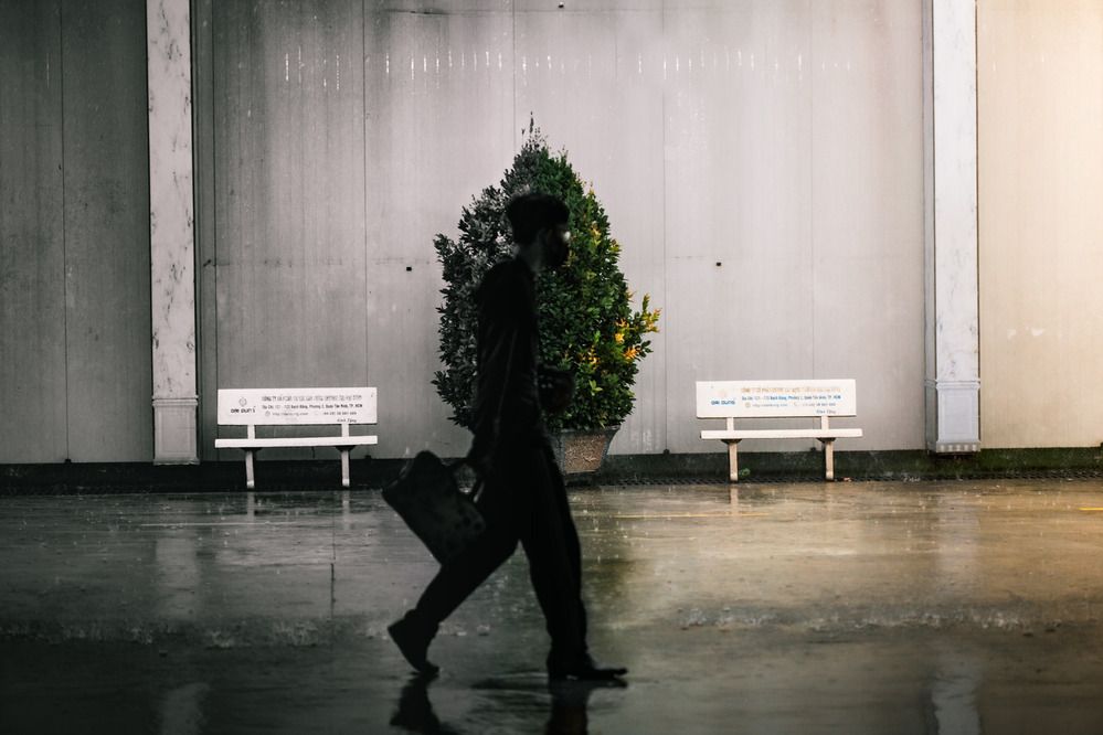 Фотография автора Anh Tri ( Fat Cat )