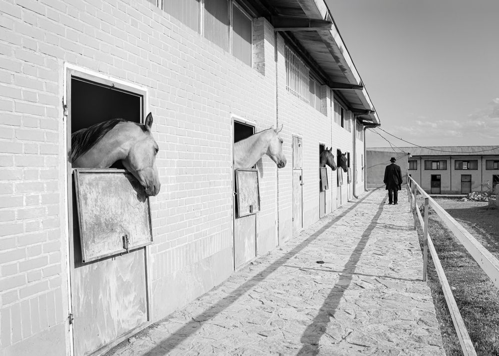 On the Threshold of Freedom