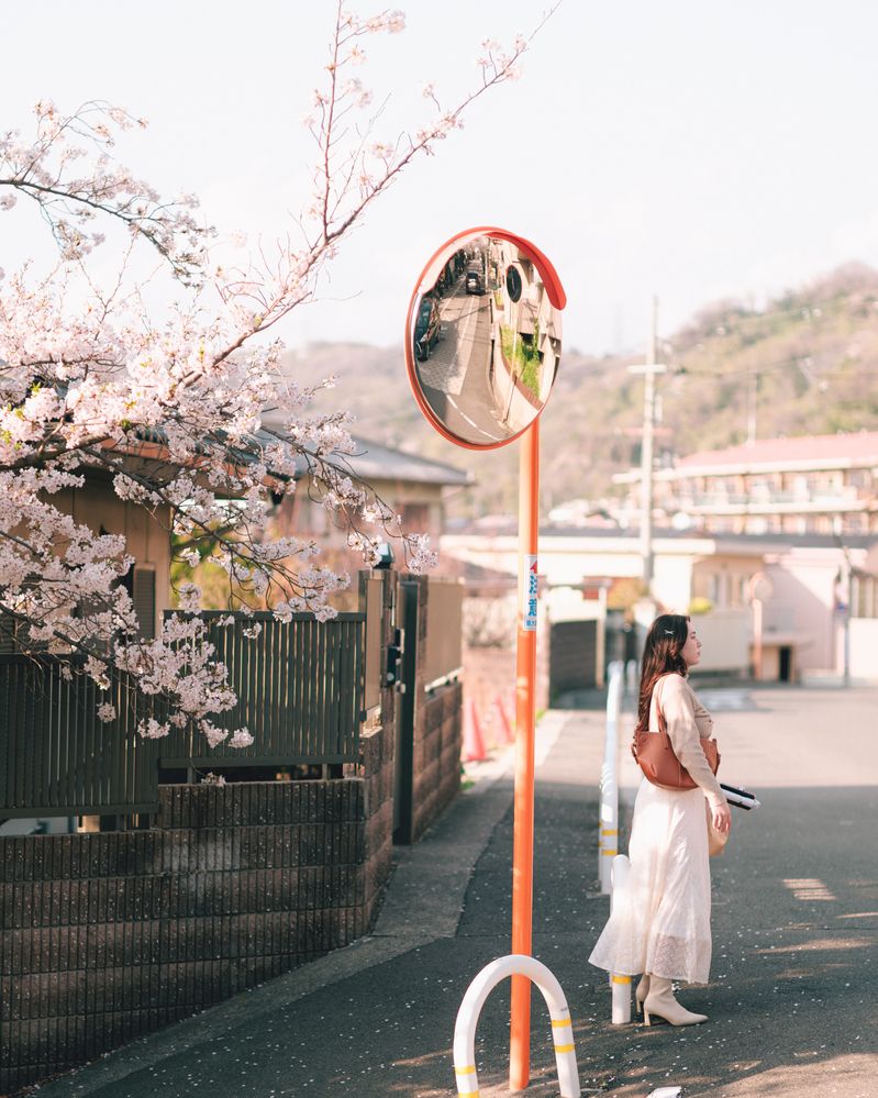 Sakura