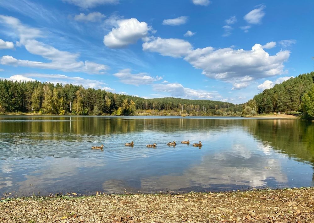 Photograph by Жанна Каргаполова