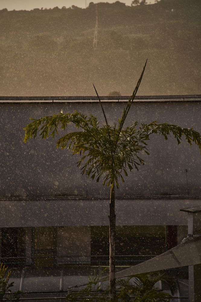 Photograph by Luis Manuel Jiménez Tabares