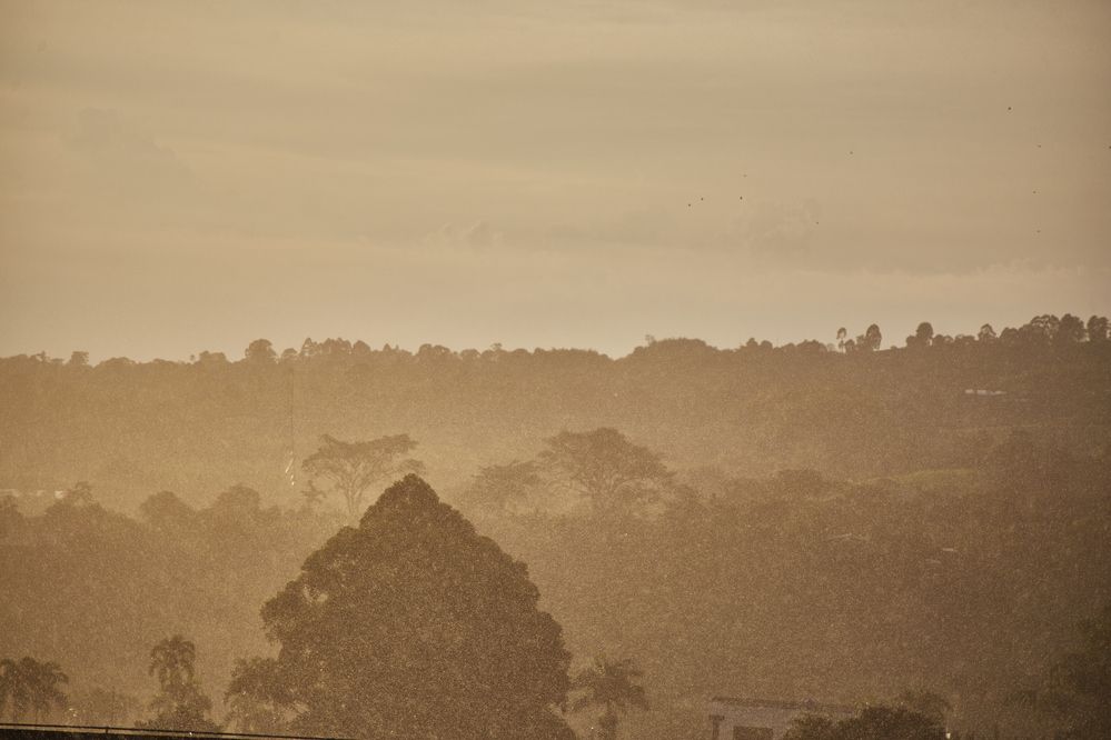 Photograph by Luis Manuel Jiménez Tabares