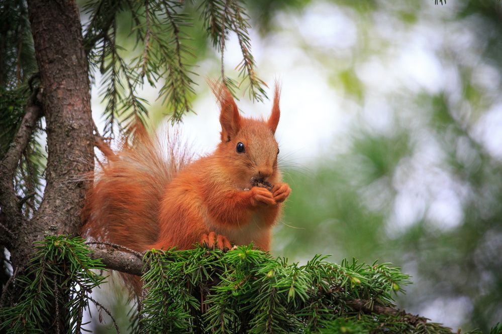 Photograph by Горяев Виктор