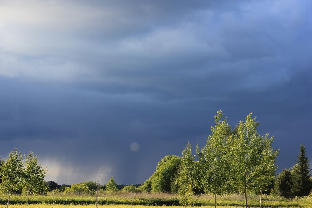 Photograph by Волкова Владимира
