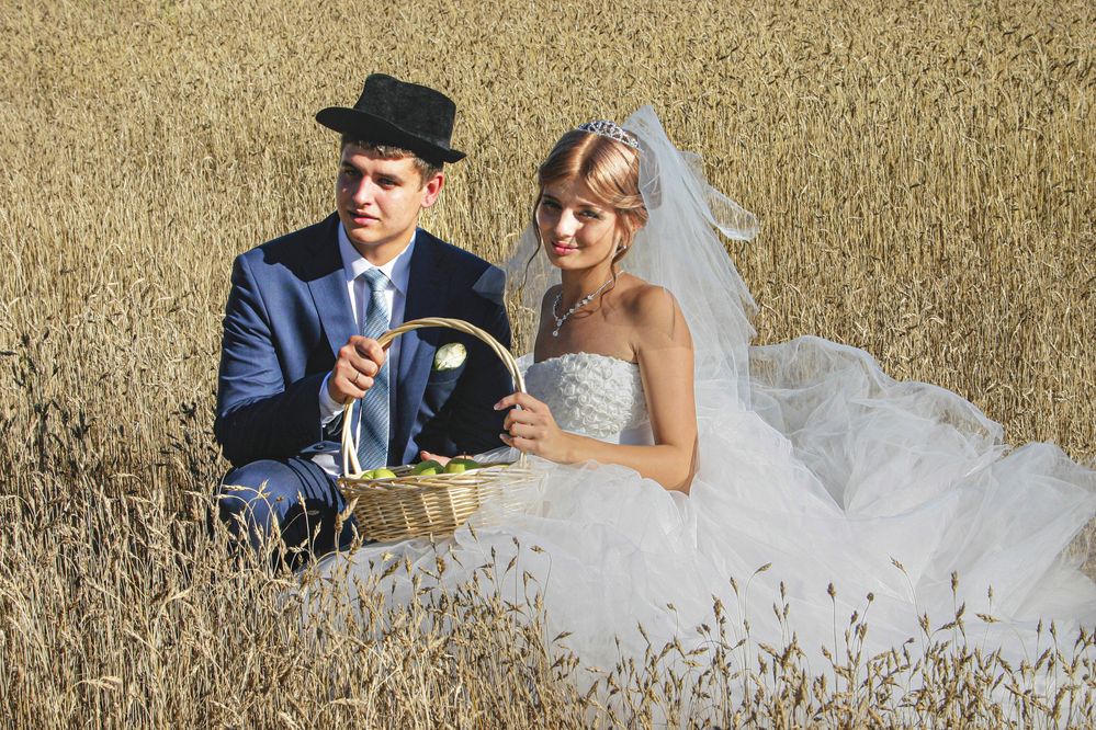 Зрелое решение среди зрелых колосков.