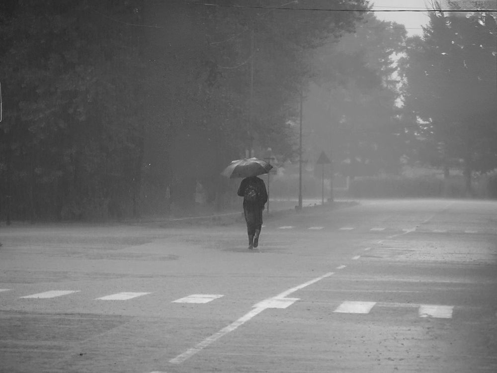 Уходящий в дождь.