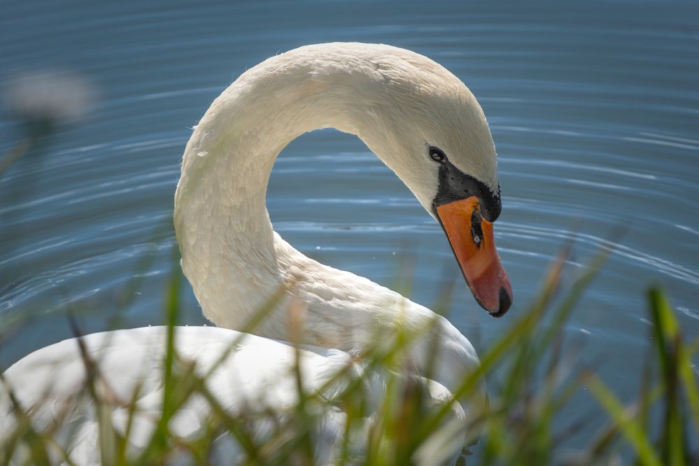 Photograph by Высотских Владимир