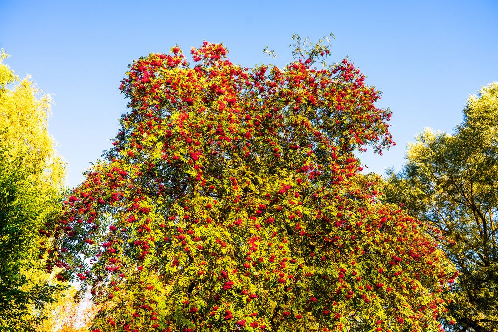 Photograph by Евгений Николаенков