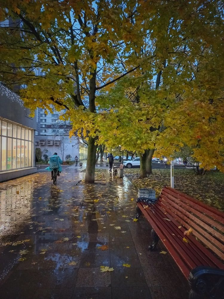 Photograph by OLGA MIKHNEVICH