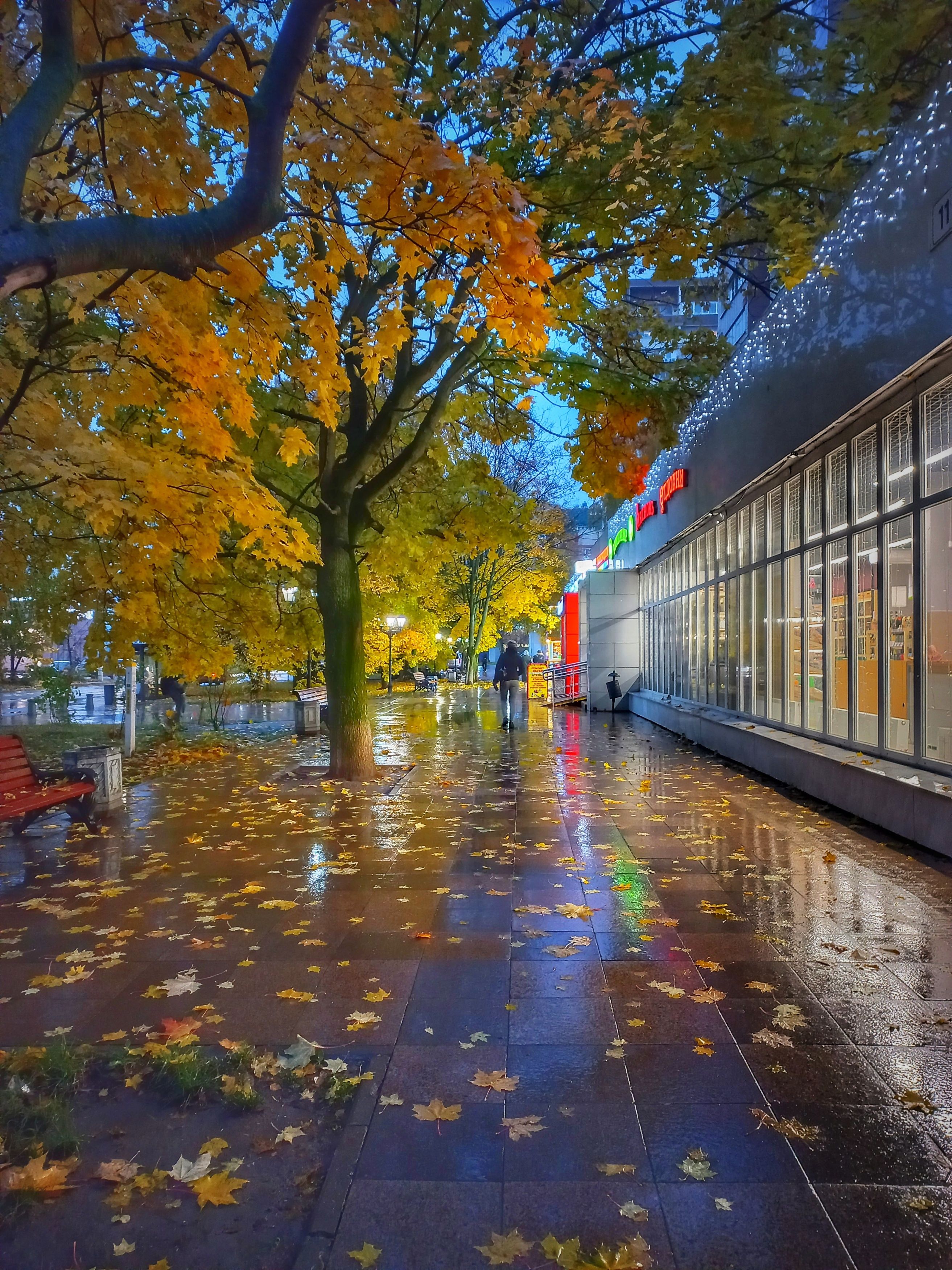 Photograph by OLGA MIKHNEVICH