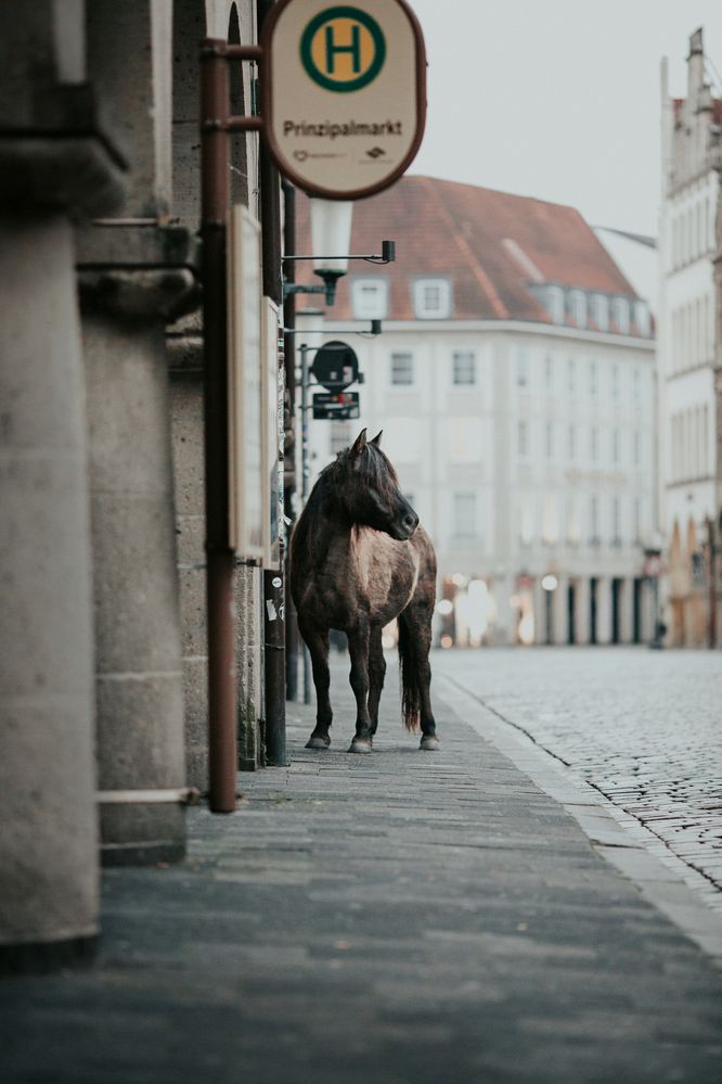 Photograph by kontakt@cs-pictures-fotografie.de