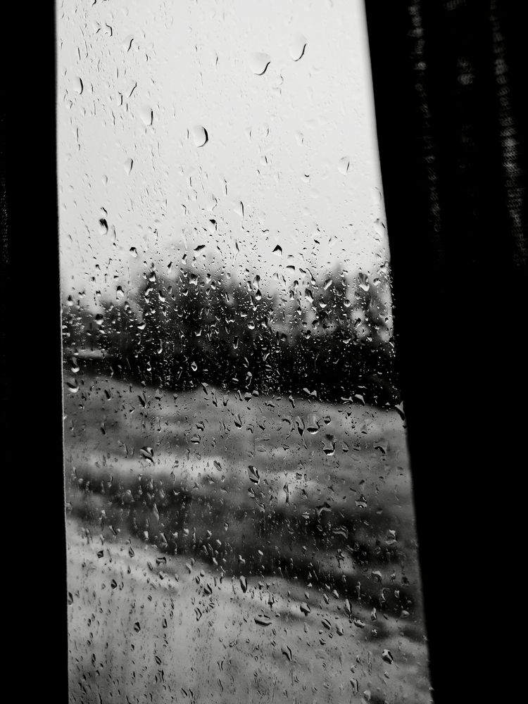 Photograph by Александр Житник