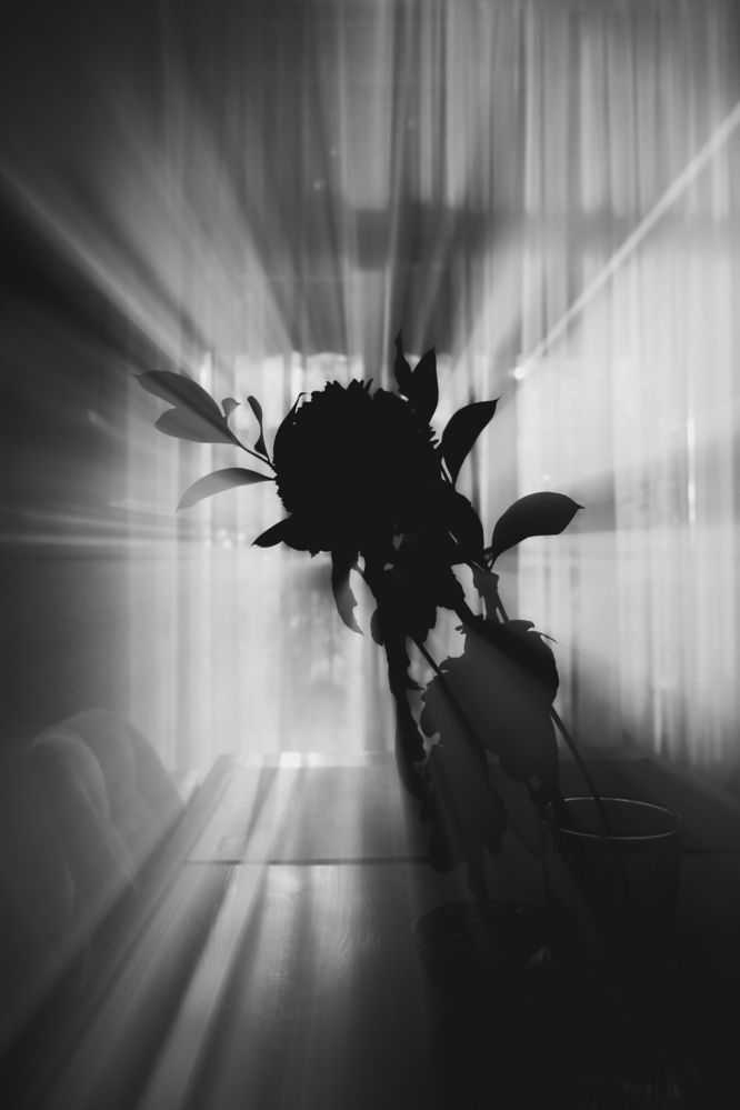 Photograph by Георгий Иванов