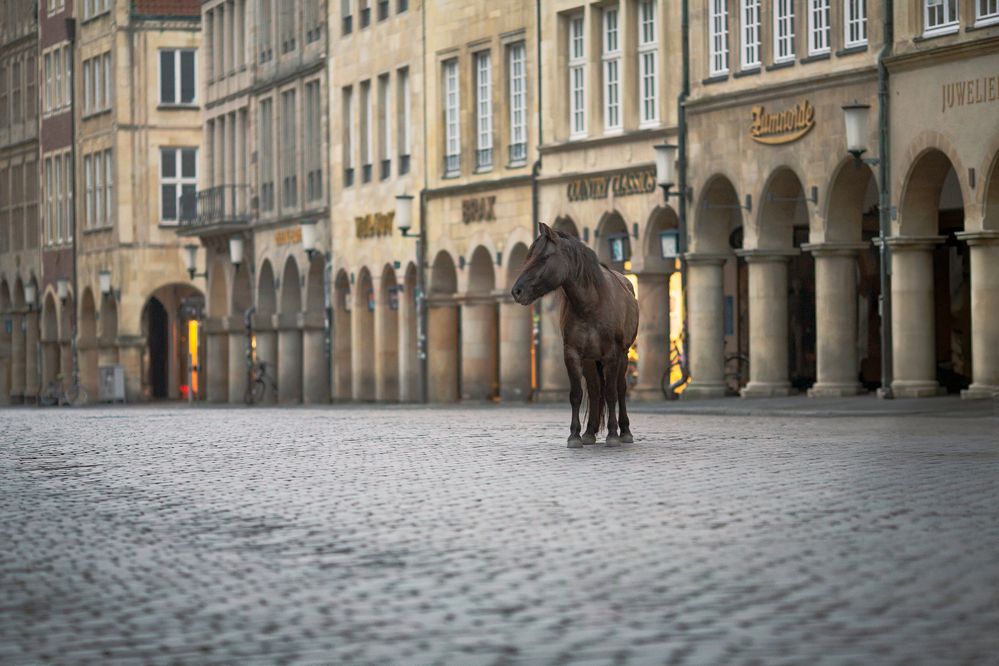 Photograph by kontakt@cs-pictures-fotografie.de