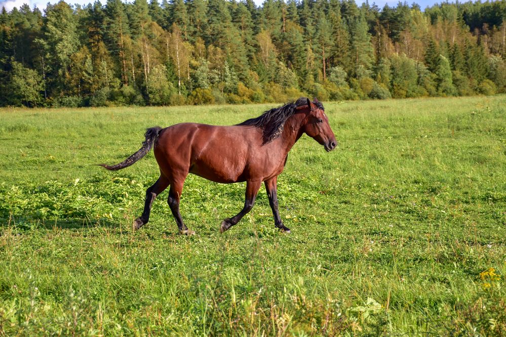 Photograph by Дмитрий Петров