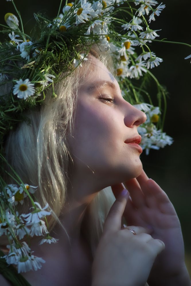 Фотография автора Наталия Панасенко