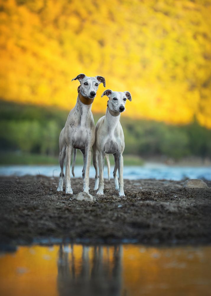Photograph by Наталья Орел