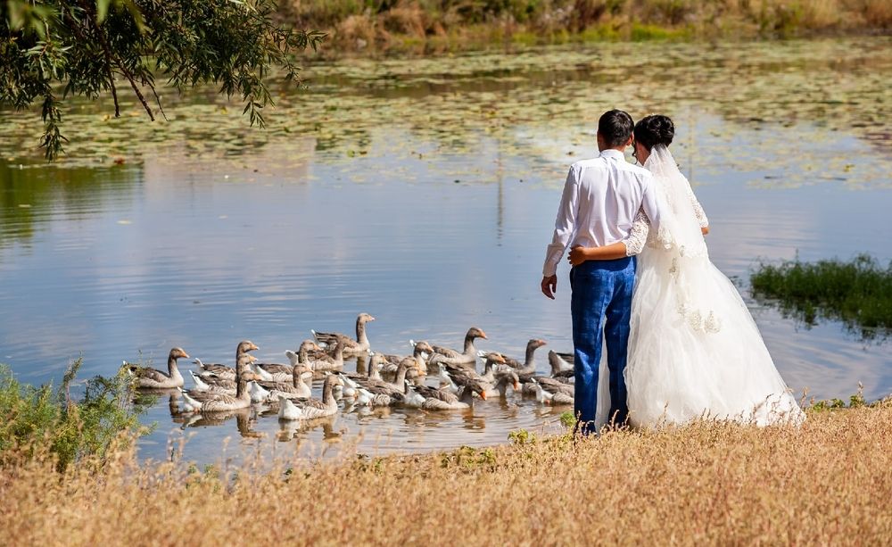 Photograph by Наталья Соболева