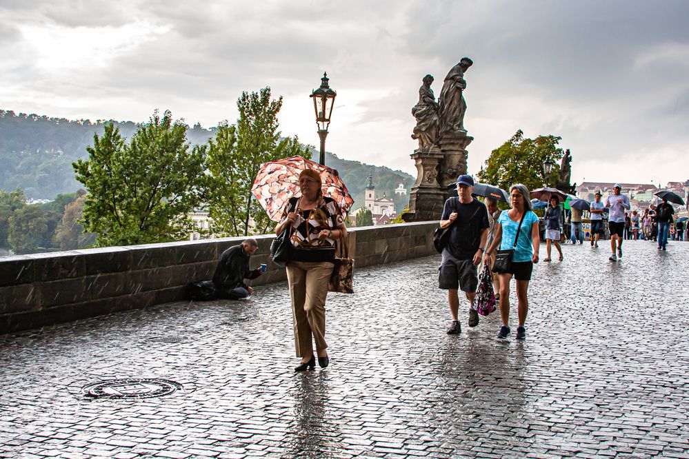 Photograph by Анатолий Мигов