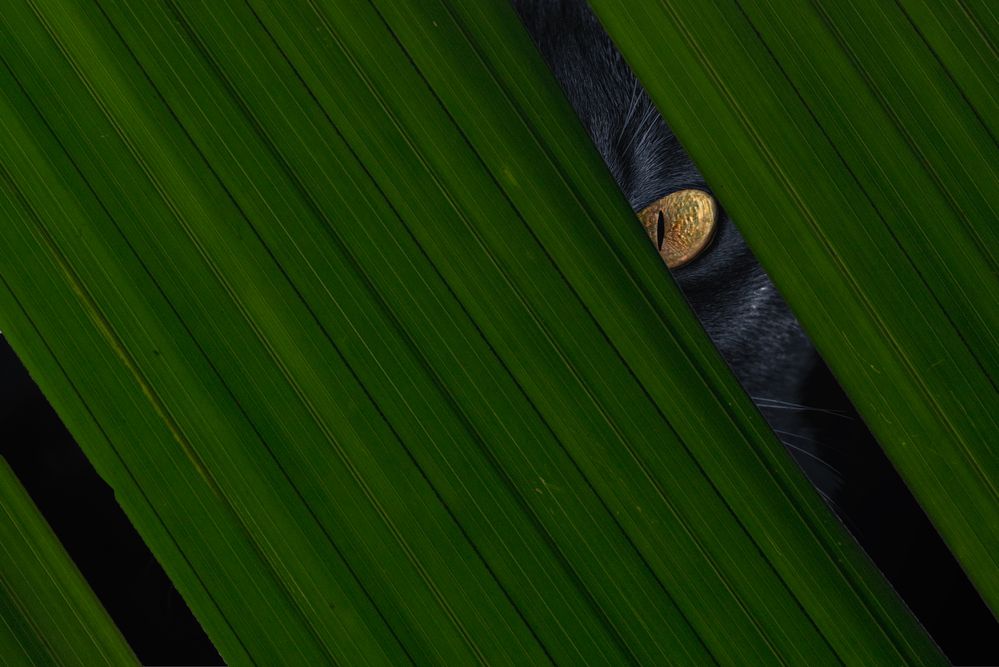 Photograph by Dmitrij