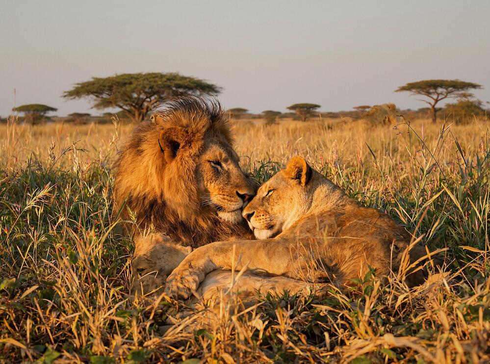 Photograph by Александр Селезнев