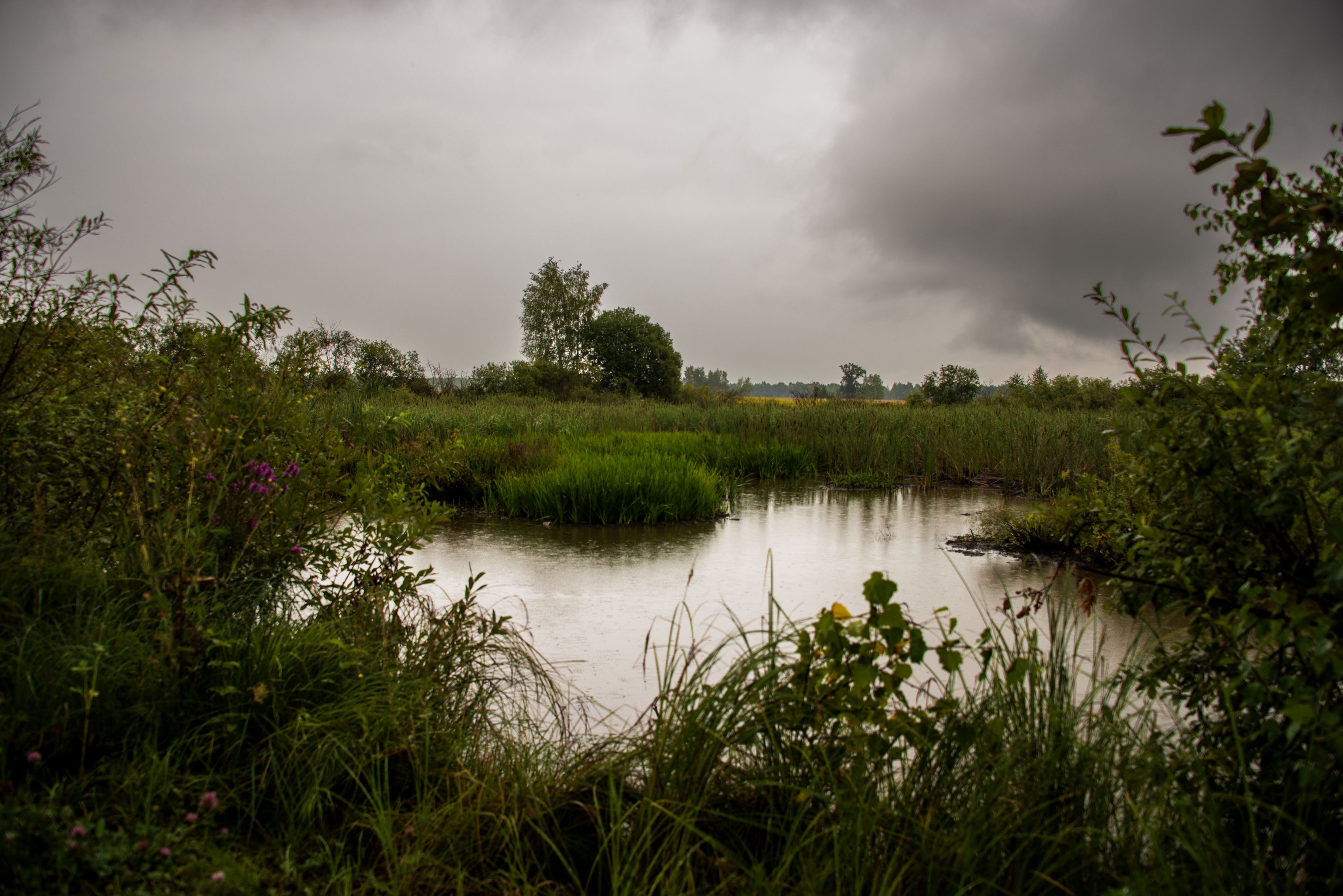 Photograph by YURIY TSARENKO