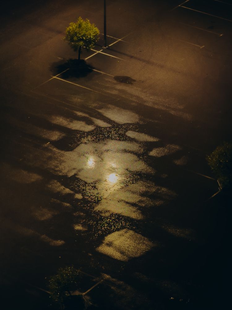Photograph by Алёна Горошко