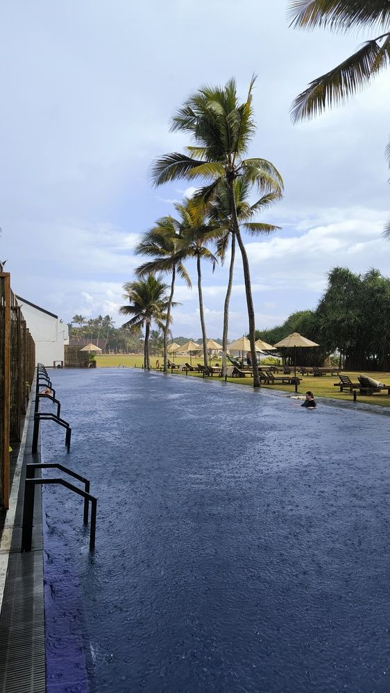 Photograph by ANDREY PERESHEIN