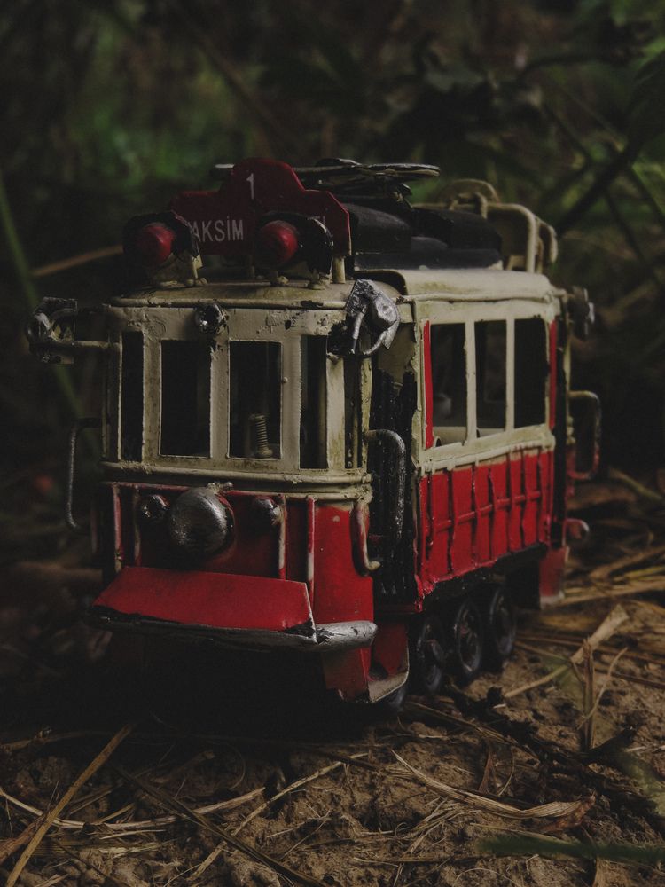 Фотография автора Юлия Носкова