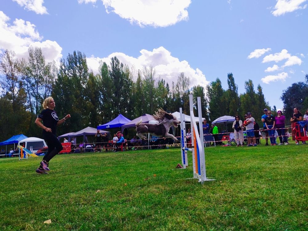 Photo #12630853