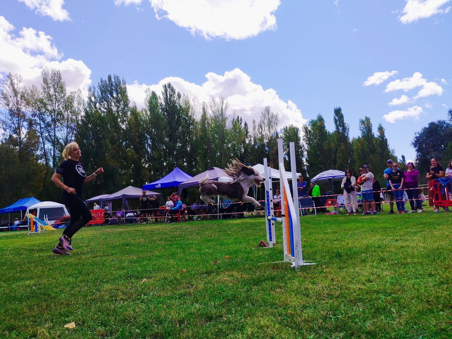 Photo #12630853