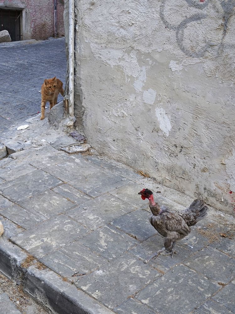 Фотография автора Natalya Firsova