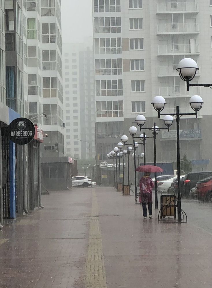 Фотография автора Светлана Гончарова