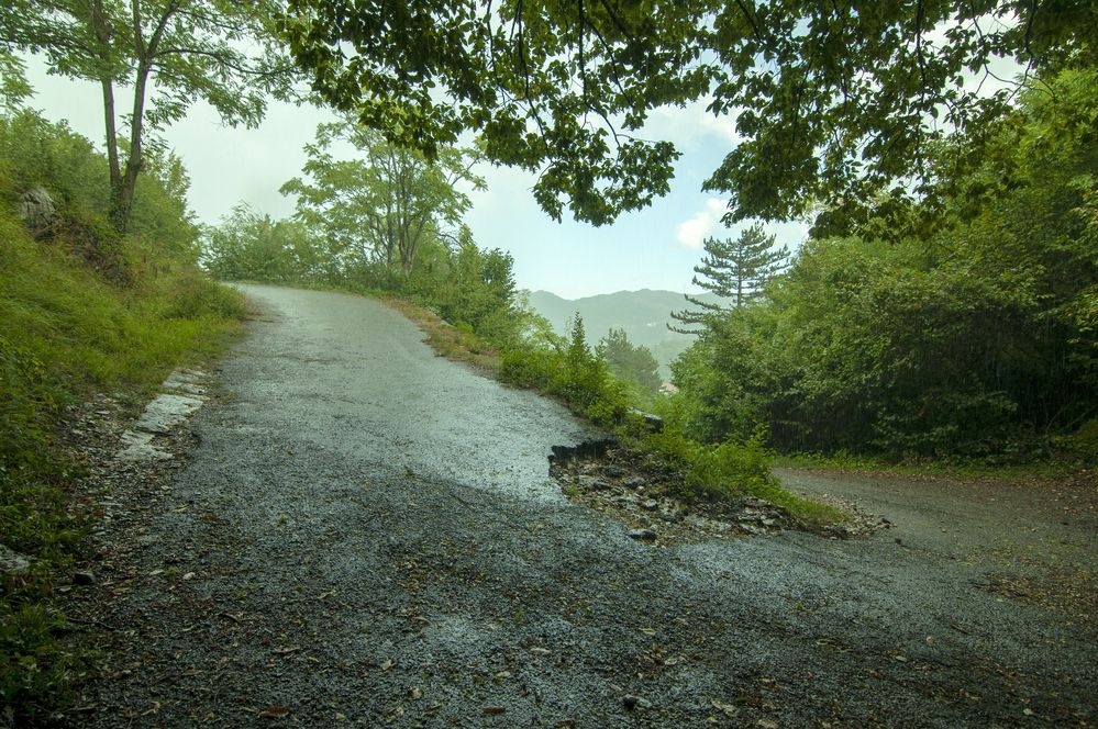 Photograph by Андрей Семенков