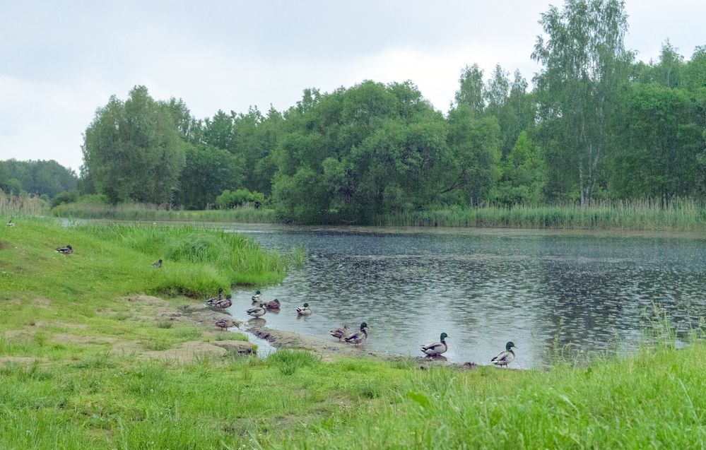 Photograph by Андрей Семенков