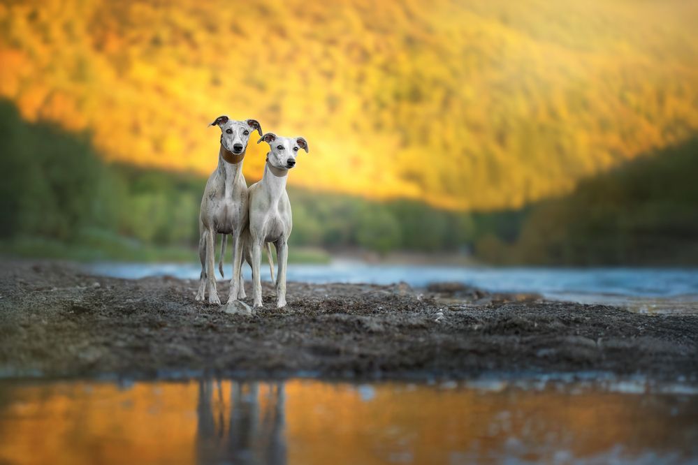 Photograph by Наталья Орел