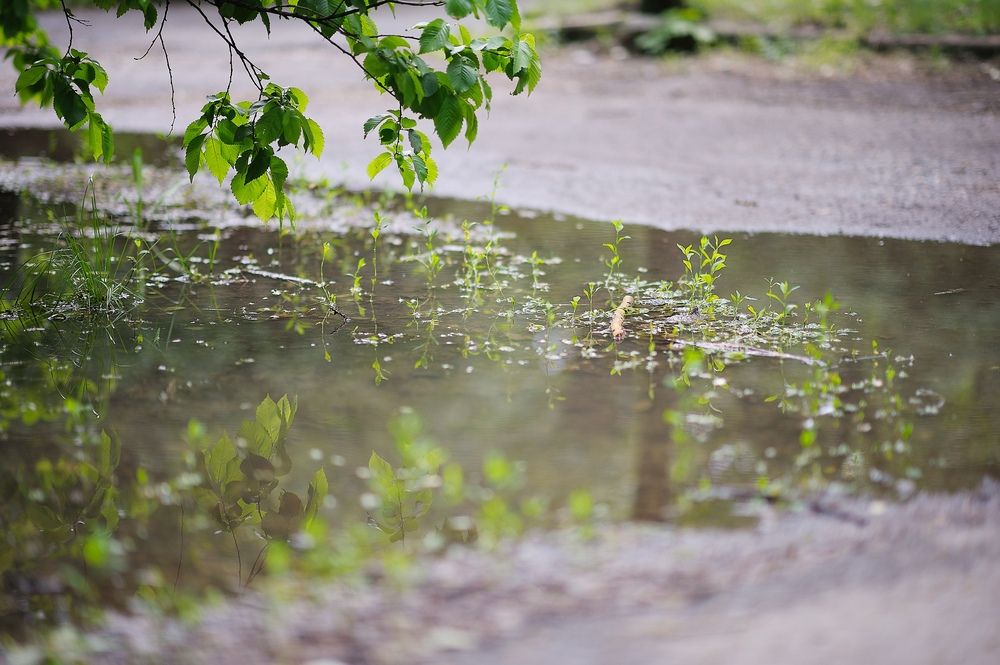 Photograph by Ирина