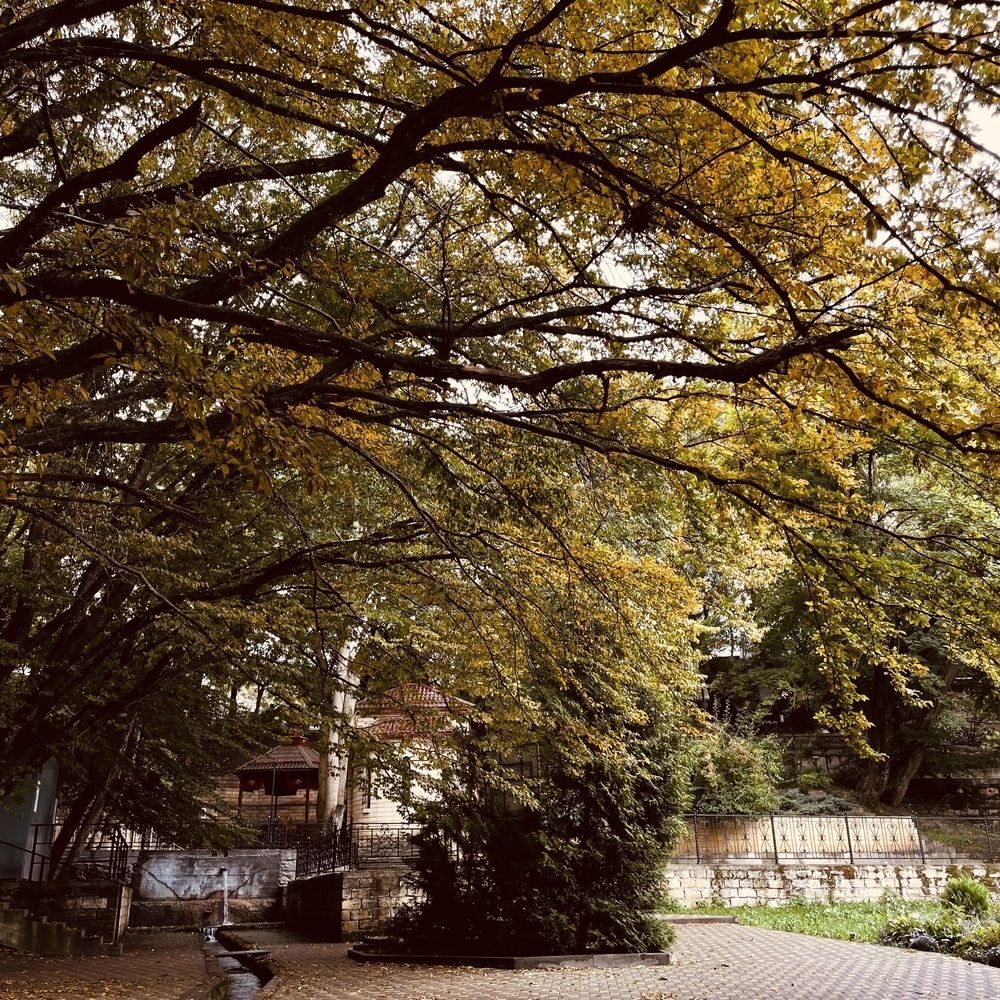 Photograph by Рузанна Гюрджян