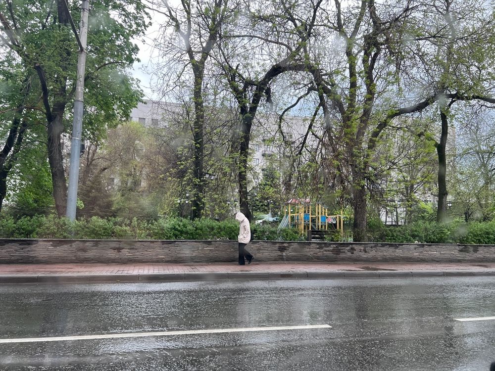 Photograph by Ирина