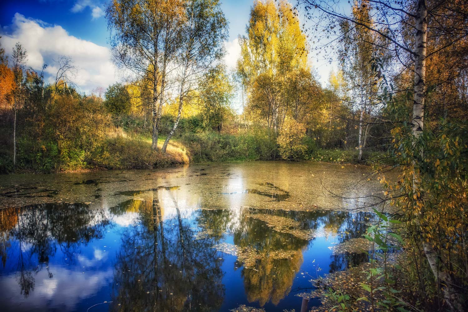 Фотография автора Сергей Назаредский