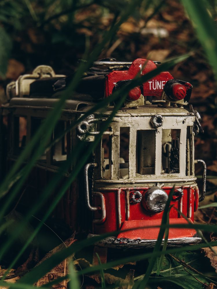 Фотография автора Юлия Носкова